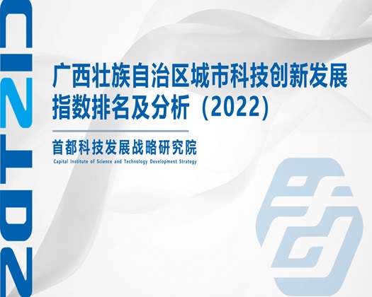 大屌猛操嫩穴在线观看【成果发布】广西壮族自治区城市科技创新发展指数排名及分析（2022）